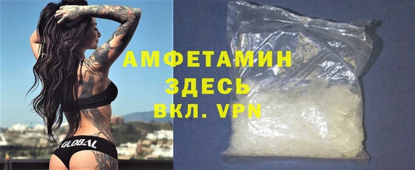 мдпв Бородино
