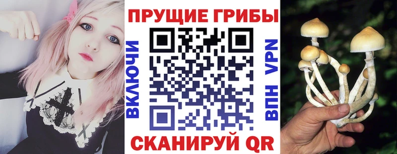 Галлюциногенные грибы Magic Shrooms  Купить закладки  Городец 